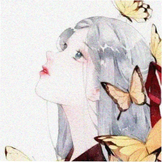策展人头像